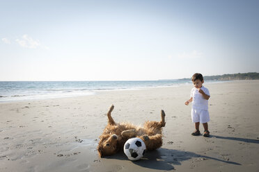 Little boy watching dog rolling around on the sandy beach - ABAF02136