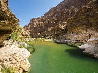 Oman, Wadi Tiwi - AMF05185