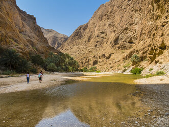 Oman, Wadi Tiwi - AMF05186