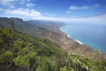 Spain, Canary islands, Tenerife, Anaga mountains - DHCF00017