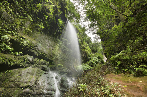 Spain, Canary Islands, La Palma, Los Tilos, waterfall - DHCF00020