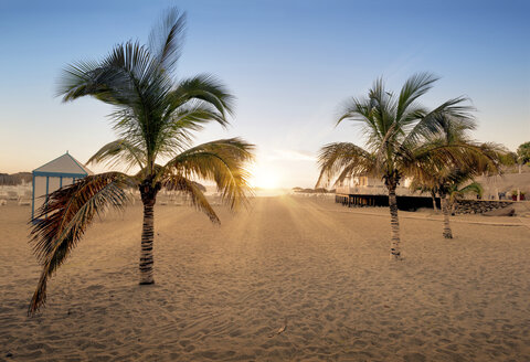 Spain, Tenerife, empty beach with palms at sunset - DHCF00021
