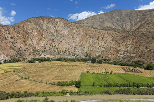Peru, Provinz Jaen, Getreidefelder und Reisfelder am Rio Huancabamba - FOF08496