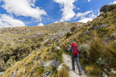 Peru, Andes, Cordillera Blanca, Huascaran National Park, tourist on hiking trail - FOF08522