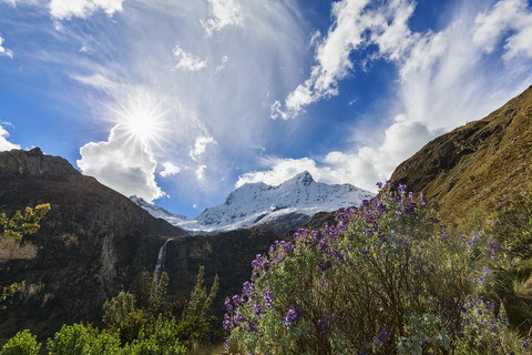 Peru, Anden, Cordillera Blanca, Huascaran National Park, Nevado Chacraraju, Lupinen, lizenzfreies Stockfoto