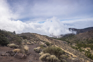 Spanien, Teneriffa, Landschaft im Teide-Nationalpark - SIPF01256