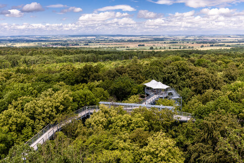 Deutschland, Thüringen, Bad Langensalza, Nationalpark Hainich, Baumkronenpfad - EGB00159