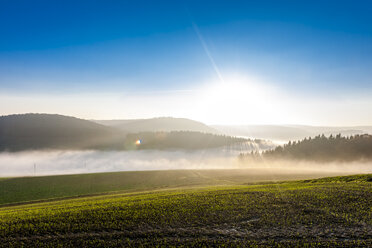 Deutschland, Baden-Württemberg, Tauberbischofsheim, ländliche Landschaft mit Bodennebel - EGBF00164