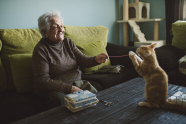 Ältere Frau spielt mit ihrem Kätzchen zu Hause - RAEF01635