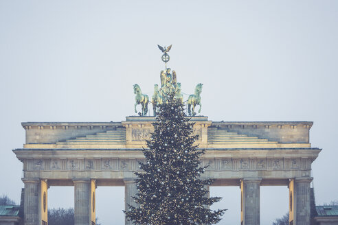 Deutschland, Berlin, Weihnachtsbaum vor dem Brandenburger Tor - ASCF00677