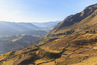 Peru, Anden, Chivay, Colca Canyon, abgeerntete Maisfelder - FOF08643