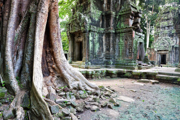 Kambodscha, Siem Reap, Angkor, Ta Prohm-Tempel - DSGF01404