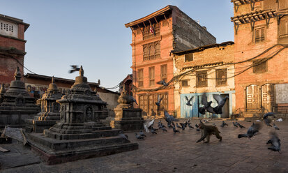 Nepal, Himalaya, Kathmandu, Swayambhunath Stupa mit Affen und Vögeln - ALRF00778