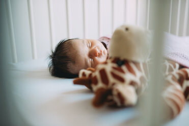 Newborn baby girl sleeping in crib with a plush giraffe - GEMF01378
