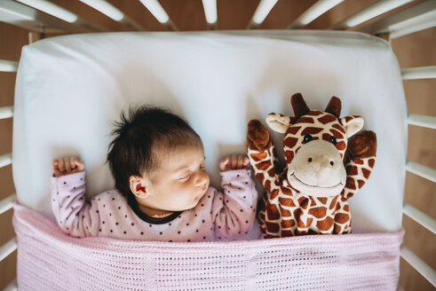 Neugeborenes Mädchen schläft im Kinderbett mit einer Plüschgiraffe - GEMF01379