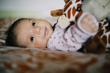 Happy newborn baby girl with a plush giraffe - GEMF01382