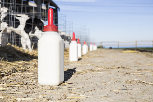 Milchspeiseflaschen mit Kälbern im Hintergrund auf einem Bauernhof - ABZF01748