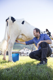 Landwirt melkt eine Kuh auf der Weide - ABZF01762