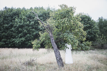 Hochzeitskleid im Baum hängend - ASCF00686