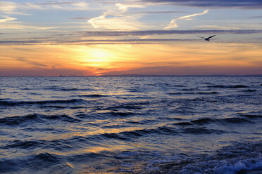 Germany, Usedom, Bansin, sunrise over sea - SIEF07255