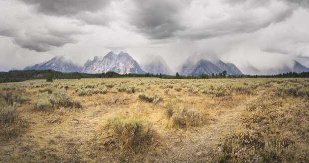 USA, Wyoming, Grand-Teton-Nationalpark - EPF00258