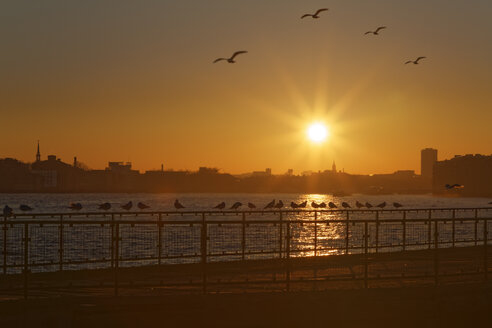 UK, London, Isle of Dogs, Sonnenuntergang an der Themse - GFF00968