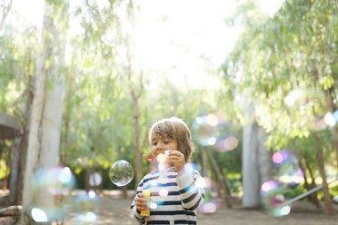 Junge, der im Park Seifenblasen macht - VABF01014