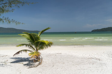 Kambodscha, Koh Rong Sanloem, Saracen Bay, Strand mit Palmen - PCF00310