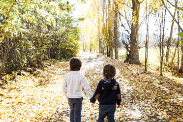 Back view of two little boys walking hand in hand on autumnal country road - VABF01024