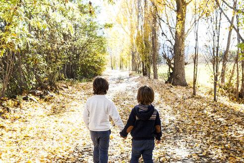 Rückenansicht von zwei kleinen Jungen, die Hand in Hand auf einer herbstlichen Landstraße spazieren gehen - VABF01024
