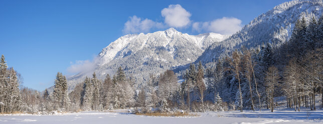 Deutschland, Oberstdorf, Moorweiher mit Rubihorn, Gaisalphorn und Schattenberg im Winter - WGF01041