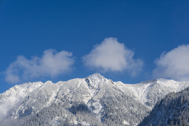 Deutschland, Allgäu, Gipfel des Rubihorns und des Gaisalphorns im Winter - WGF01042