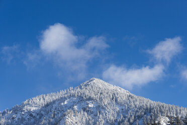 Deutschland, Allgäu, Gipfel des Schattenbergs im Winter - WGF01043