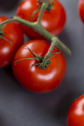 Strauchtomaten auf grauem Grund - JUNF00765