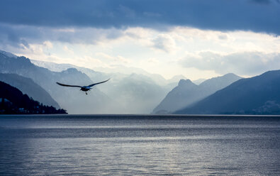 Austria, Salzkammergut, Gmunden, Traunsee - EJW00833