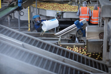 Arbeiter mit Schutzmaske in einer Apfelvertriebsfabrik - ZEF12422