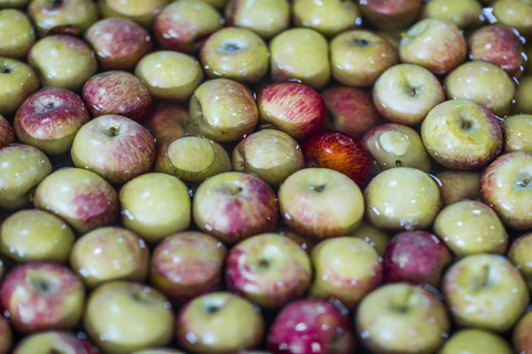 Gruppe von frischen Äpfeln in Wasser, lizenzfreies Stockfoto