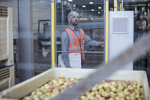 Inspector in apple distribution factory stock photo