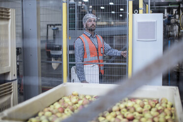 Inspector in apple distribution factory - ZEF12439