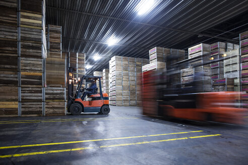 Man on forklift in factory hall - ZEF12454