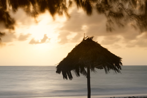 Tansania, Insel Sansibar, Sonnenschirm bei Sonnenaufgang, lizenzfreies Stockfoto