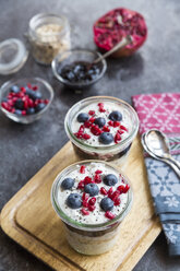 Fresh yogurt with blueberries, blueberry jam, pomegranate seeds and chia - SARF03120