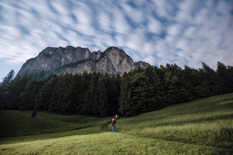 Österreich, Mondsee, Rückenansicht eines jungen Mannes mit Fackel auf einer Wiese bei Mondschein, lizenzfreies Stockfoto