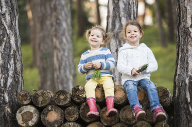 Zwei lächelnde Mädchen sitzen auf einem Holzstapel im Wald - HAPF01297
