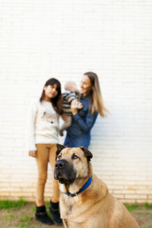 Dog and mother with two children in background - VABF01037