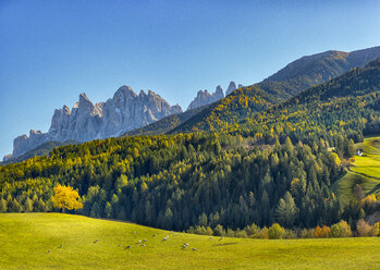 Italy, South Tyrol, Funes Valley, Odle group in autumn - LOMF00472