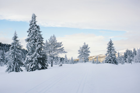 Norway, Oppland, winter landscape stock photo