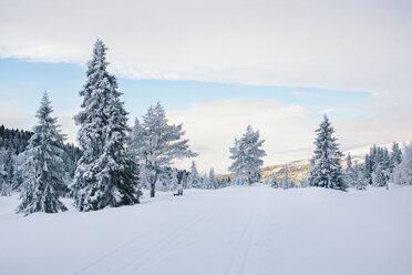 Norway, Oppland, winter landscape - JUBF00198