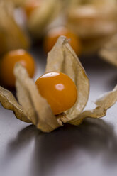 Physalis - JUNF00789