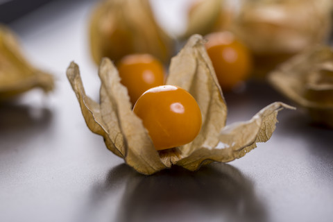 Physalis, lizenzfreies Stockfoto